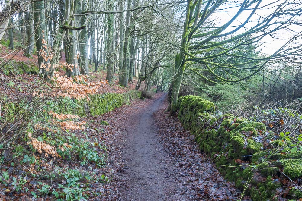 Intake Lane